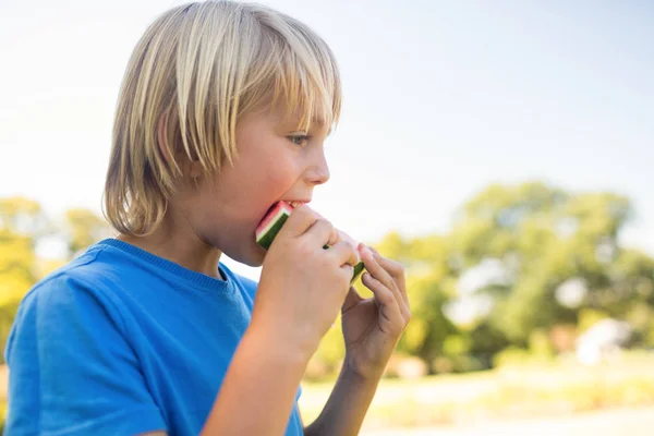 Pojke med vattenmelon i parken — Stockfoto