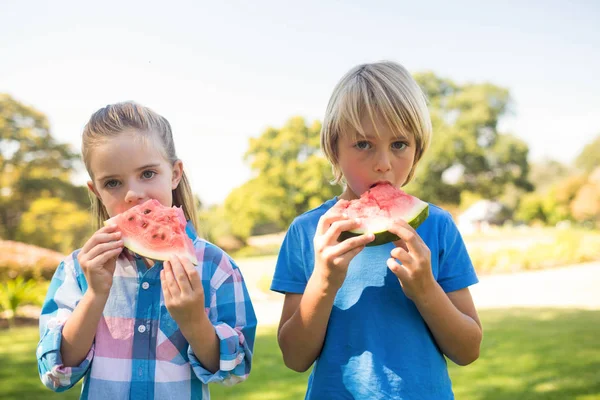 Syskon med vattenmelon i parken — Stockfoto