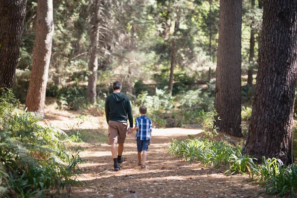 Vater und Sohn spazieren an sonnigem Tag im Wald — Stockfoto