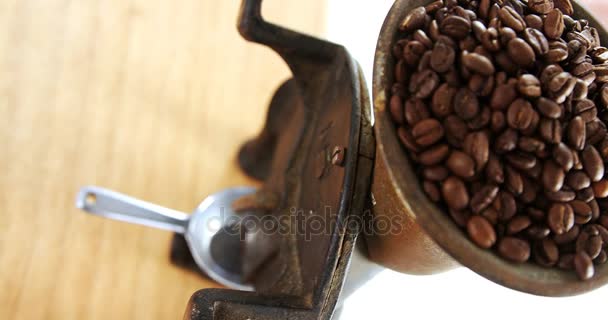 Εκλεκτής ποιότητας καφέ μύλος με κόκκους καφέ — Αρχείο Βίντεο