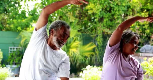 Couple aîné faisant de l'exercice à domicile — Video