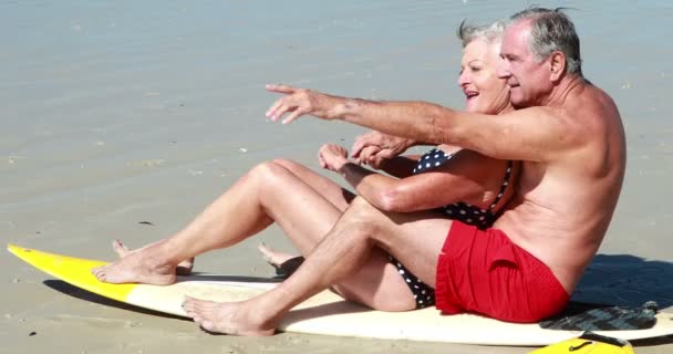 Seniorpaar sitzt am Strand — Stockvideo