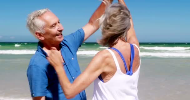 Ανώτερος ζευγάρι έχοντας παγωτό στην παραλία — Αρχείο Βίντεο
