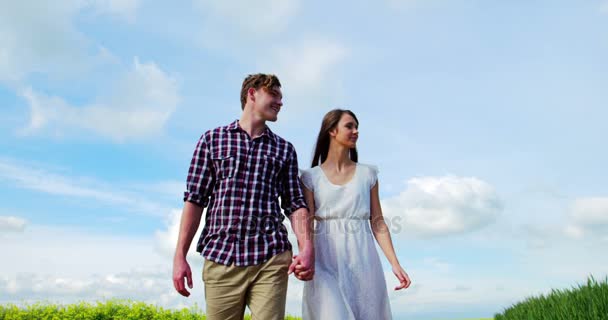 Romantiska par hålla händerna medan promenader i fältet — Stockvideo
