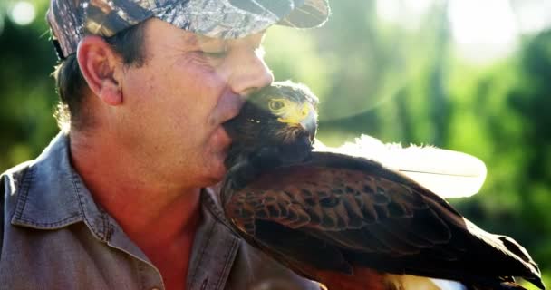 Ο άνθρωπος φιλιά falcon σε μια ηλιόλουστη ημέρα — Αρχείο Βίντεο