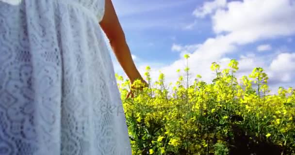 Vrouw lopen in mosterd veld op een zonnige dag — Stockvideo