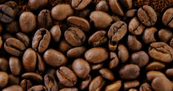 Koffiebonen op koffiepoeder — Stockvideo