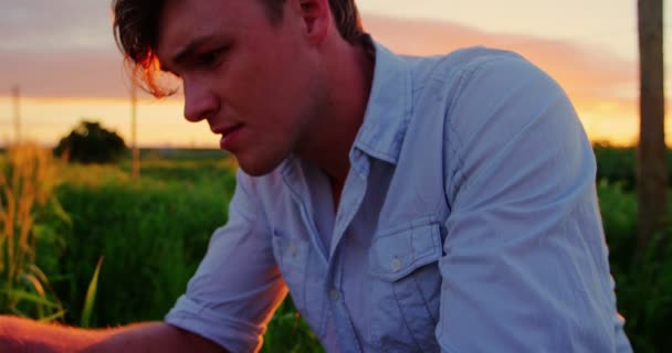Homem tocando culturas de trigo no campo — Vídeo de Stock