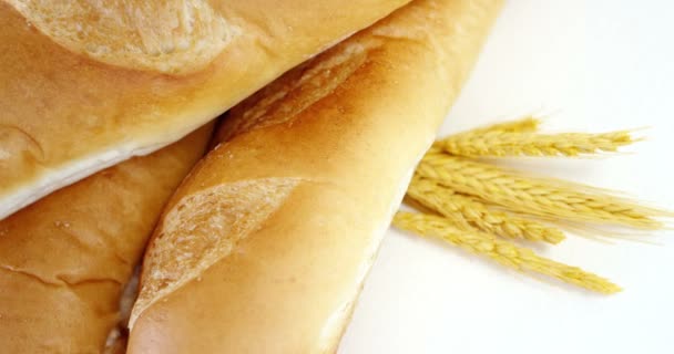 Baguettes with wheat on white background — Stock Video