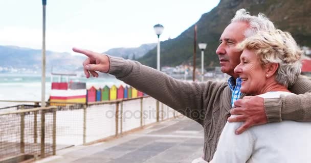 Pareja mayor disfrutando juntos en la playa — Vídeos de Stock