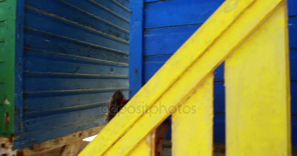 Dziewczyna, fotografowanie aparatem z kolorowe beach hut — Wideo stockowe