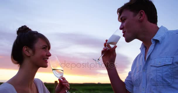 Coppia romantica con champagne in campo — Video Stock