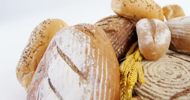 Varios tipos de panes con granos de trigo — Vídeos de Stock