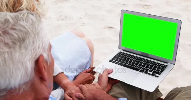 Seniorenpaar benutzt Laptop am Strand — Stockvideo