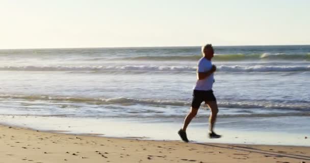 Starší muž zaběhat na pláži — Stock video