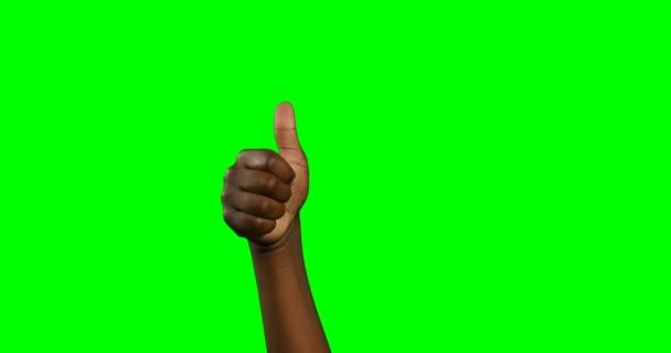 緑色の画面の背景に人作り手のしぐさ — ストック動画