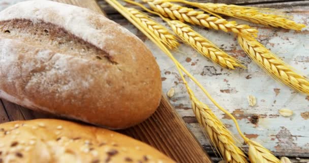 Verschiedene Brotsorten mit Weizenkörnern — Stockvideo