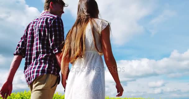 Romantische paar hand in hand tijdens het wandelen in veld — Stockvideo