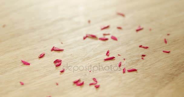 Buntstiftspäne auf Holztisch — Stockvideo