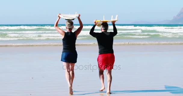 Couple aîné portant une planche de surf au-dessus de la tête tout en courant vers la mer — Video