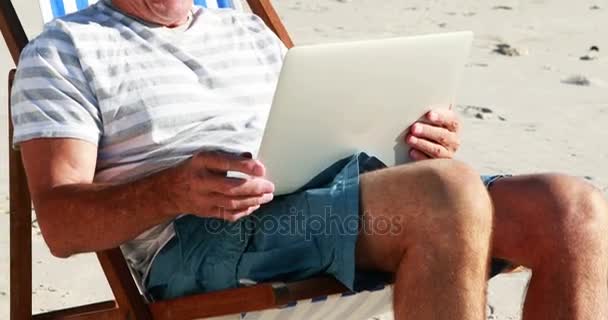 Homem sênior de vídeo conversando no laptop na praia — Vídeo de Stock