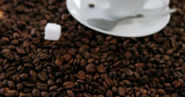 Café com grãos de café torrados — Vídeo de Stock