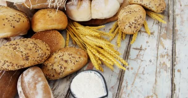 Verschiedene Brotsorten mit Weizenkörnern — Stockvideo