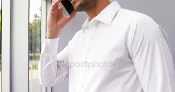 Retrato del ejecutivo sonriente hablando por teléfono móvil — Vídeos de Stock