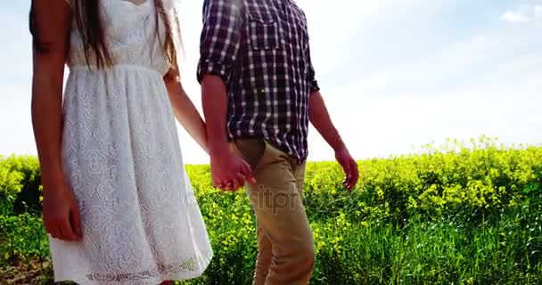 ロマンチックなカップルはフィールドを歩きながら手を繋いで — ストック動画