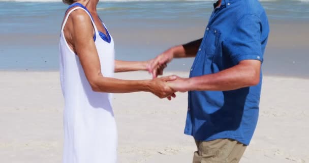 Couple sénior se câlinant à la plage — Video