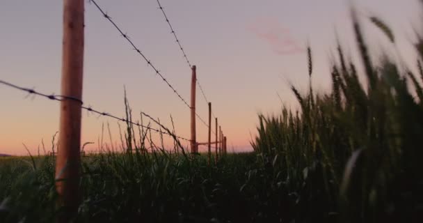 Närbild på staket i fältet — Stockvideo