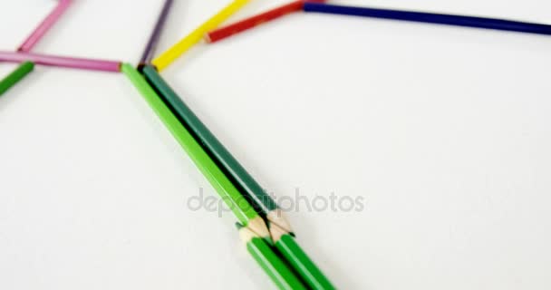 Lápis colorido formando uma árvore — Vídeo de Stock