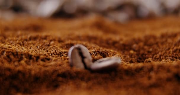 Dos granos de café en polvo de café tostado — Vídeos de Stock