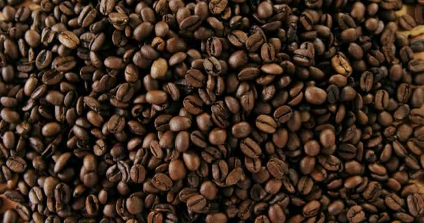 Detail zrnkové kávy — Stock video