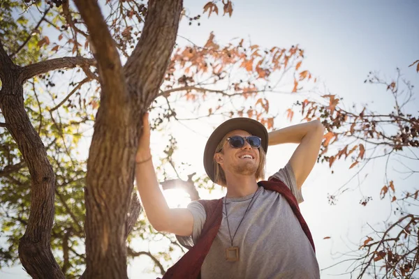 Hombre de pie en el árbol — Foto de Stock