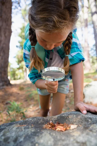 Girl looking through magnifying glass — Stock Photo, Image
