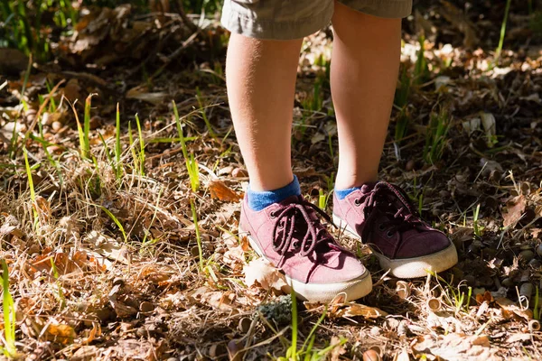 Ragazzo in scarpe in piedi nella foresta — Foto Stock