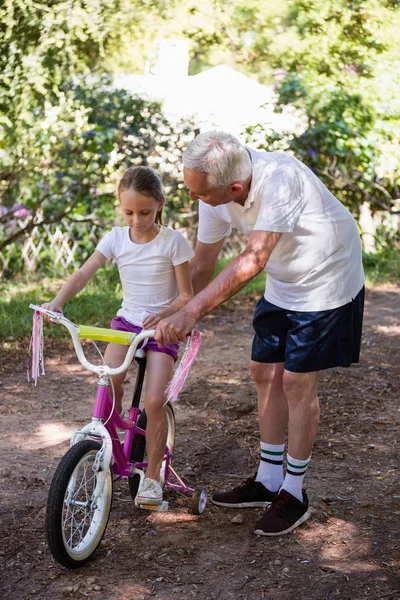 Dedesi torununu binmek bisiklet öğretim — Stok fotoğraf