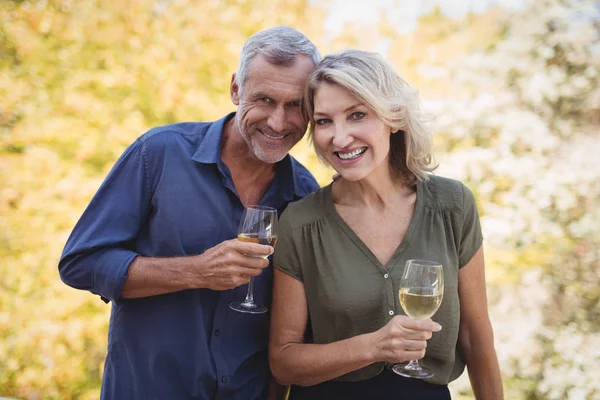 Mature couple having glasses of wine — Stock Photo, Image