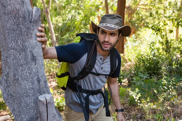 Homem com mochila andando na floresta — Fotografia de Stock