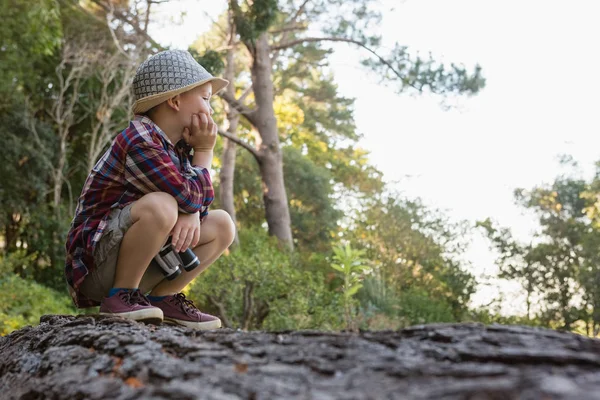 Niño sentado en el tronco caído del árbol — Foto de Stock