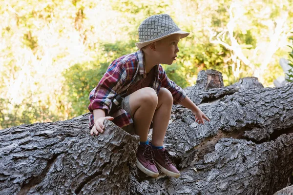 Pojken sitter på fallna träd bålen — Stockfoto