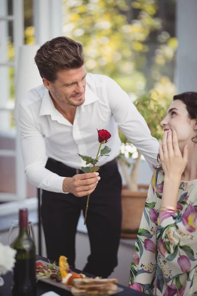 Мужчина, предлагающий розу женщине — стоковое фото