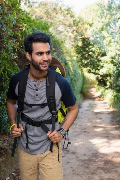 Sırt çantalı bir adam ormanda yürüyor. — Stok fotoğraf