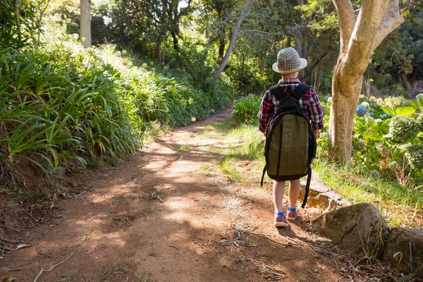 Jongen wandelen in het woud — Stockfoto