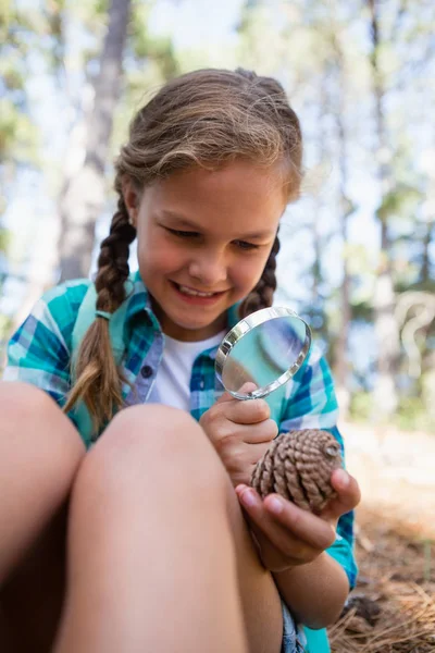 Girl looking at pine cone through magnifying glass — Stock Photo, Image