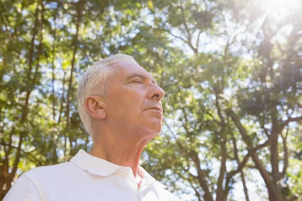 Senior man mediteren in het bos — Stockfoto