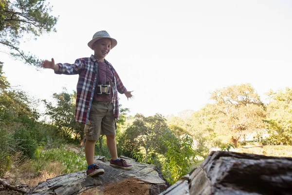 Мальчик стоит на деревянном бревне в лесу — стоковое фото