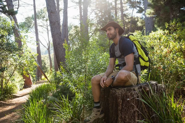 Homem descansando no toco da árvore na floresta — Fotografia de Stock