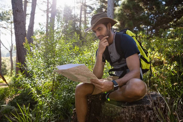 Man reading map